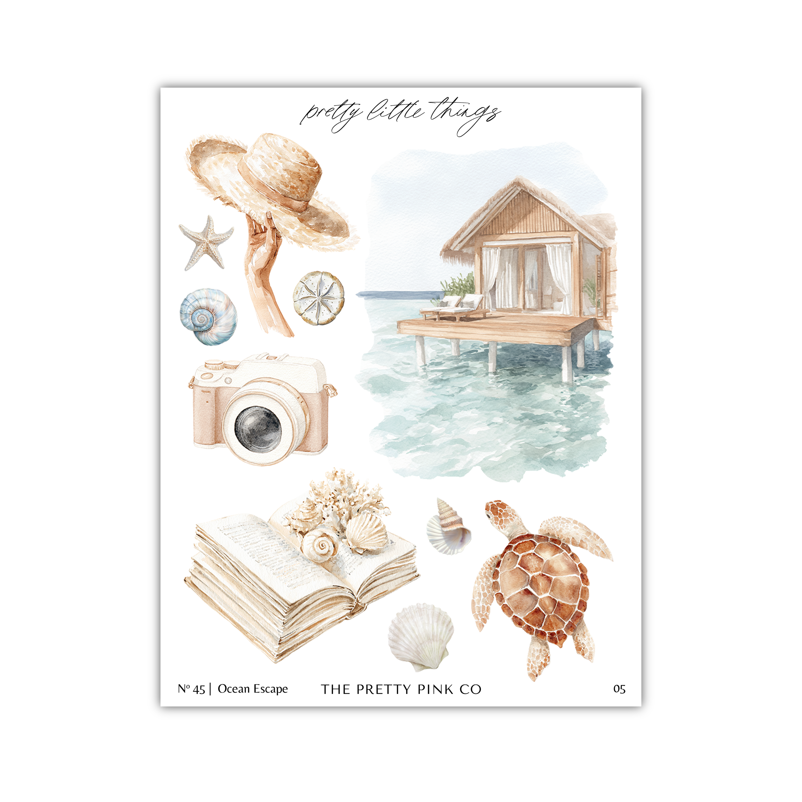 The image is a collage of various objects and scenes related to ocean life and beach activities, including a hat, camera, book, turtle, and seashells.