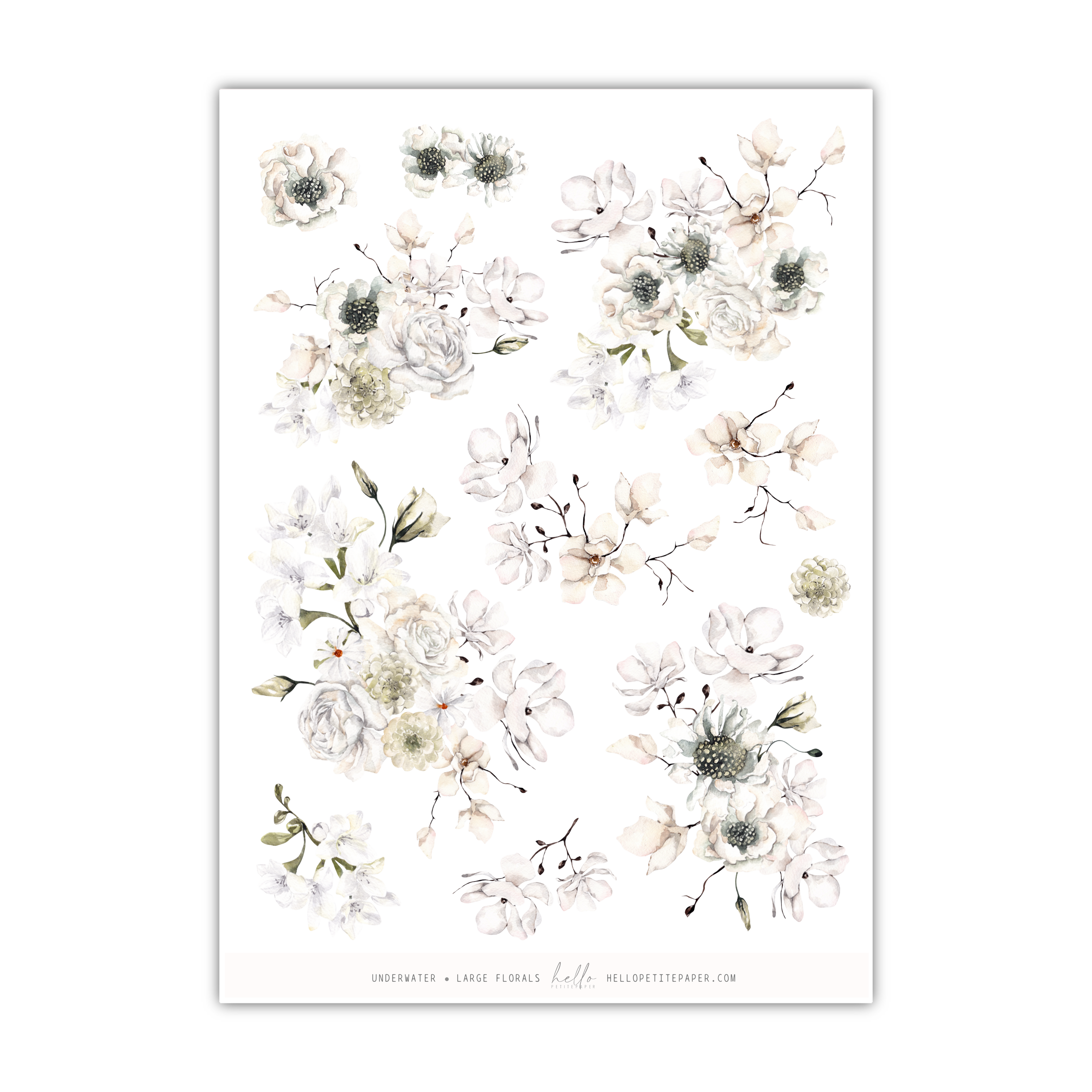 Underwater | Large Florals | Hello Petite Paper Collab
