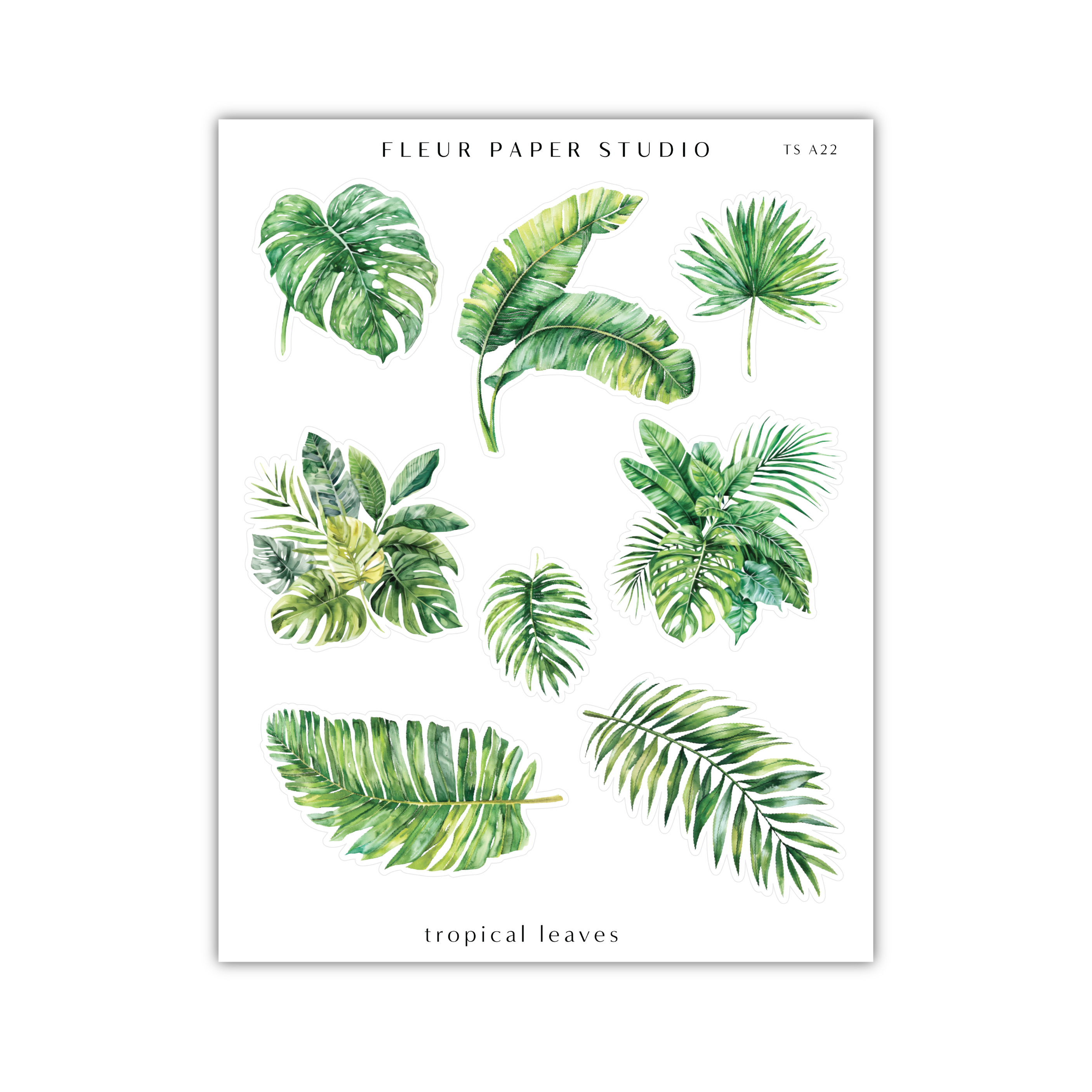 a poster of tropical leaves on a white background