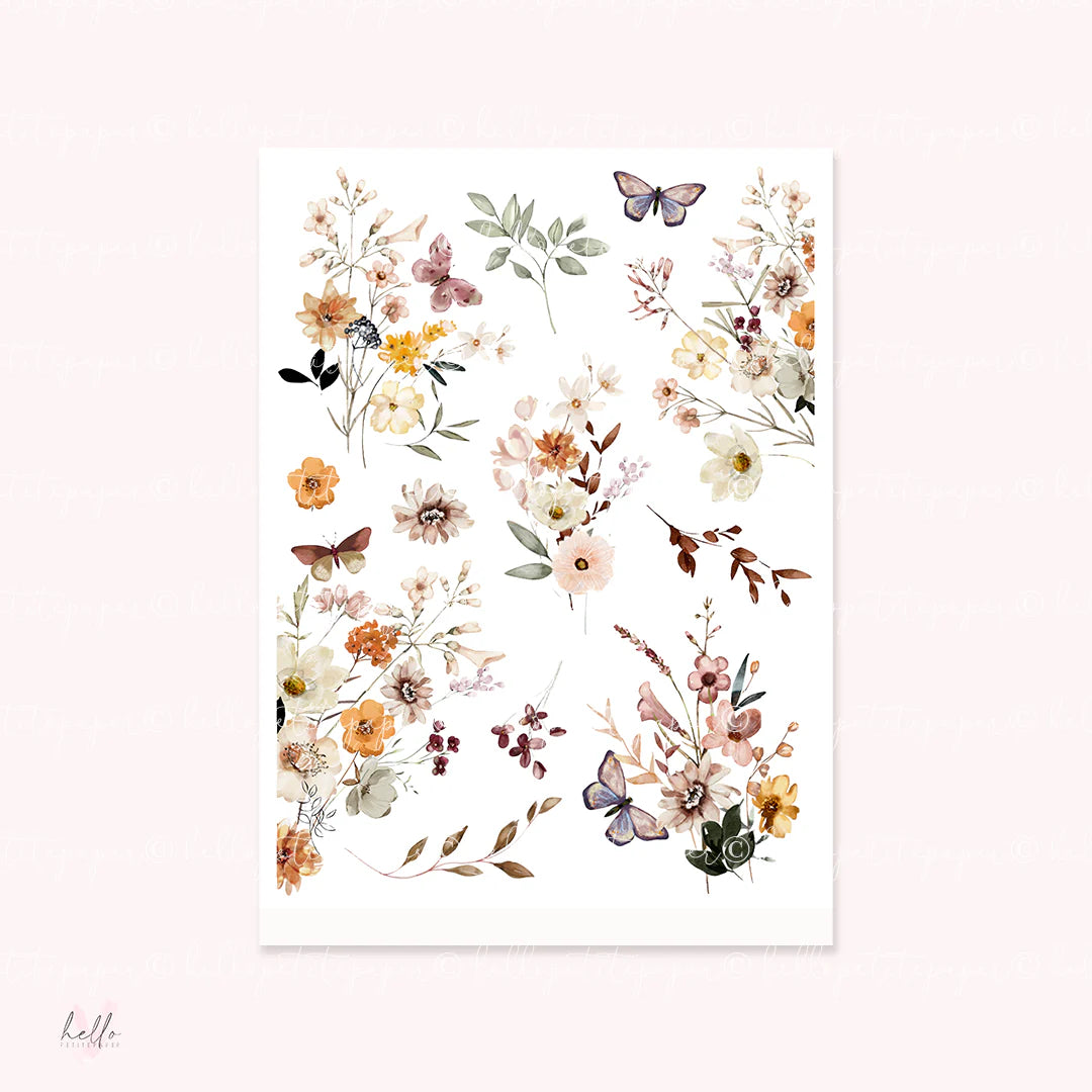 The image is a collage of various floral and butterfly illustrations, including different types of flowers and butterflies, arranged in a visually appealing manner.