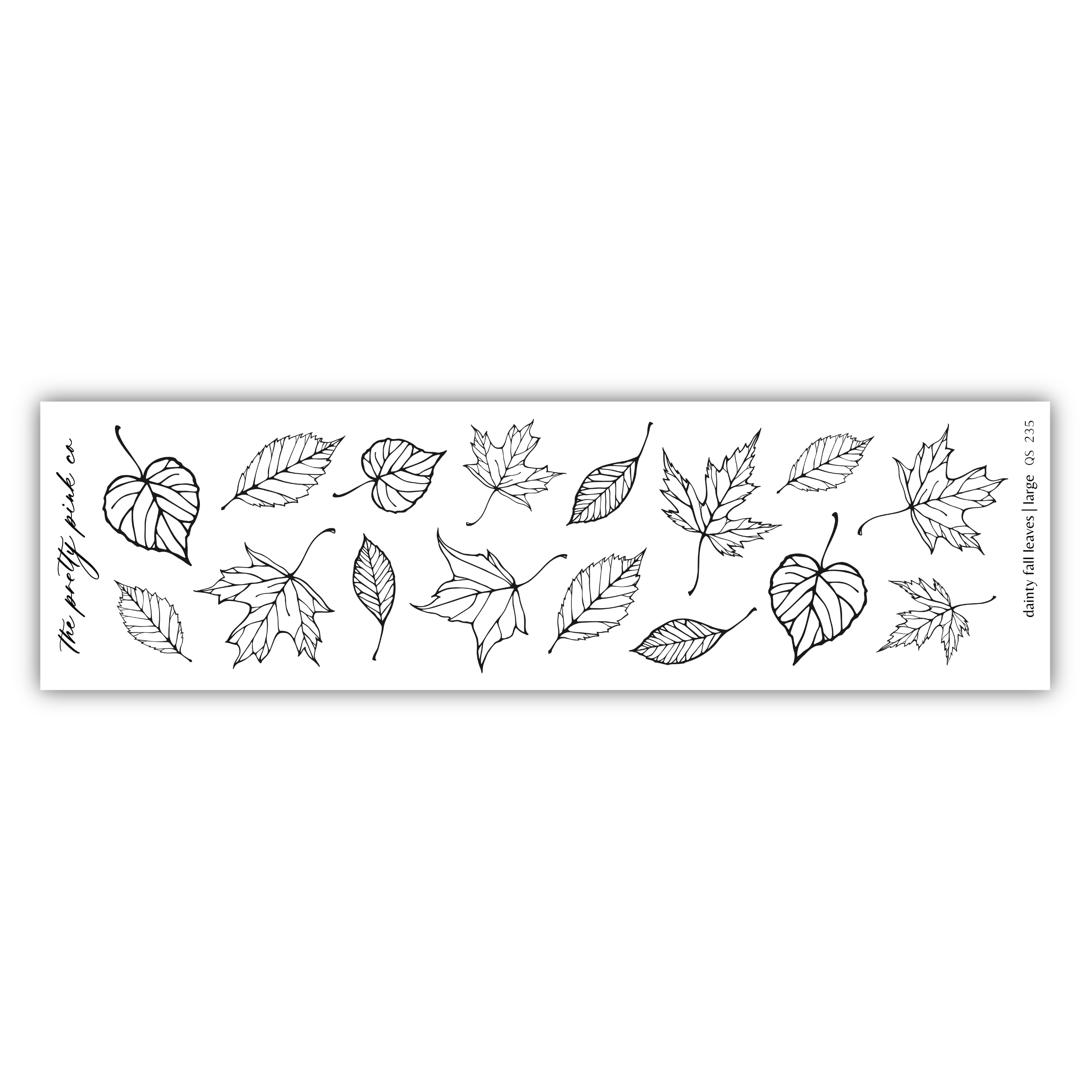 a collection of various leaf shapes and sizes, including maple leaves and other types of leaves, arranged in a row.