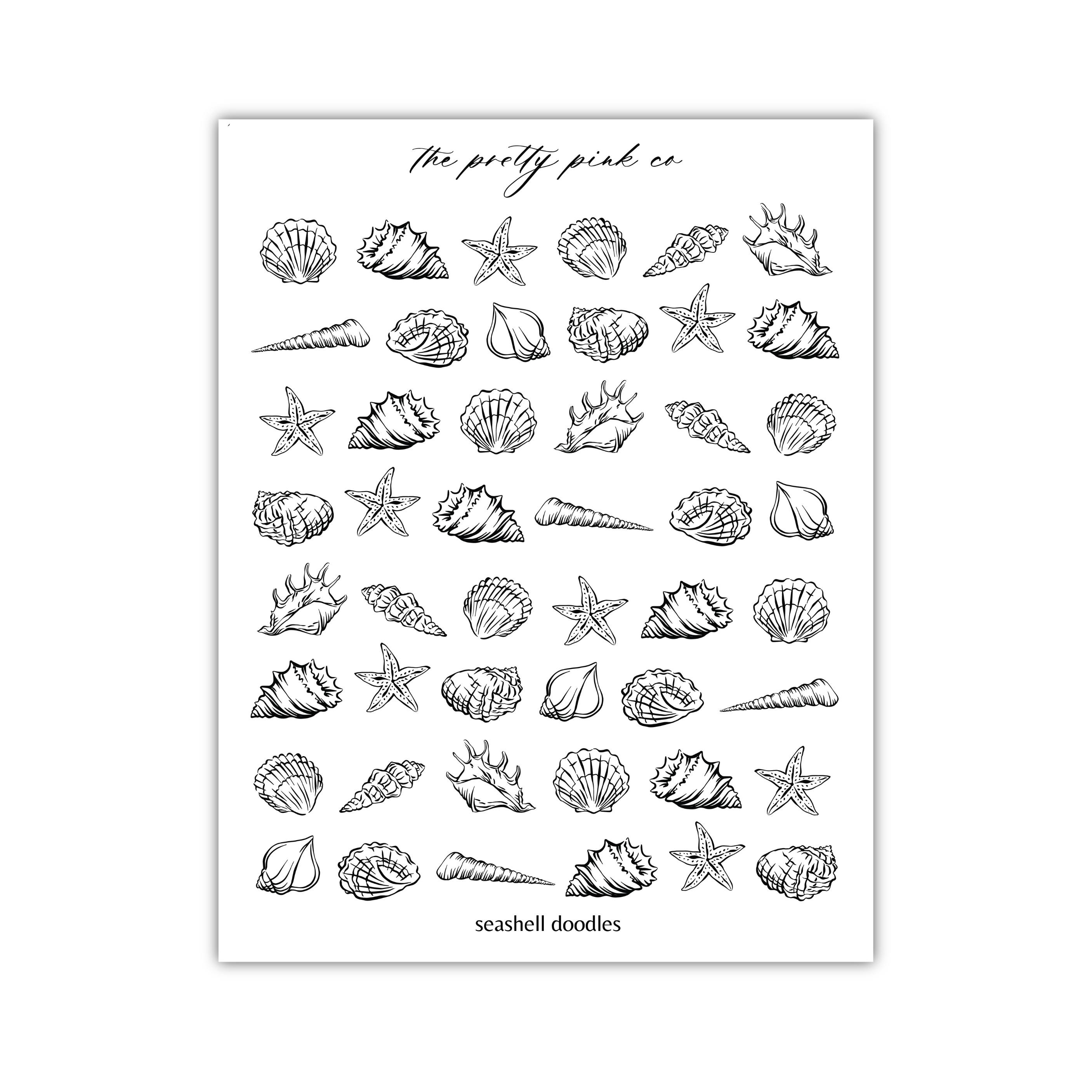 a collection of various seashells and starfish illustrations arranged in a grid-like pattern.