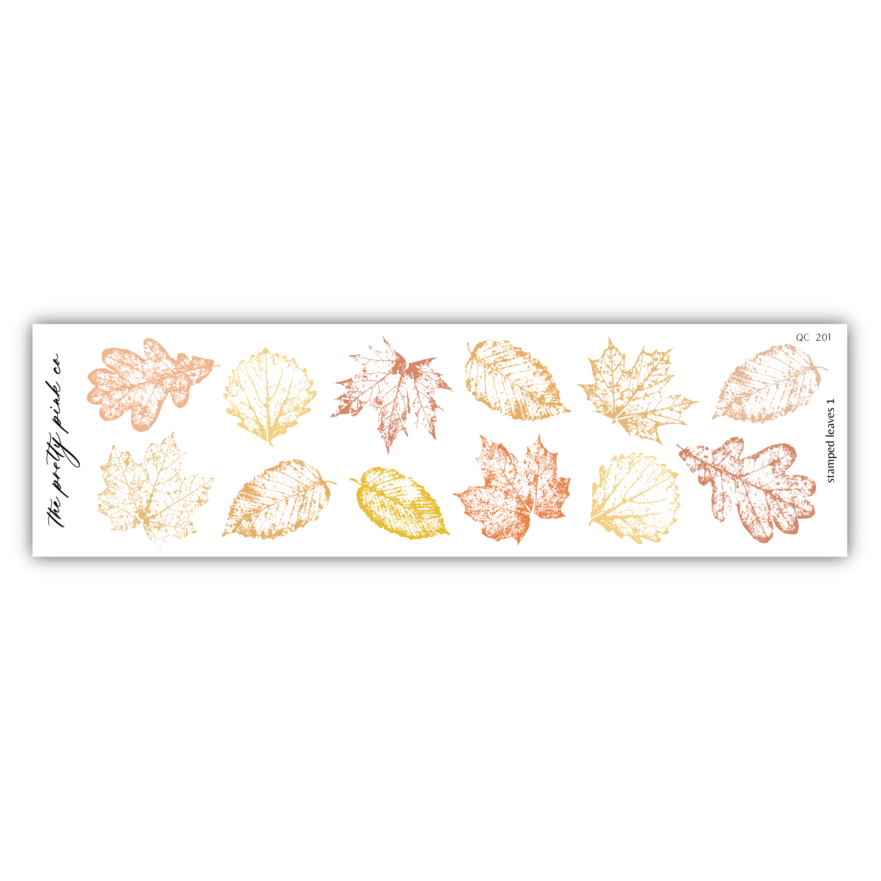 a collection of various autumn leaves, including maple, oak, and other types, arranged in a row.