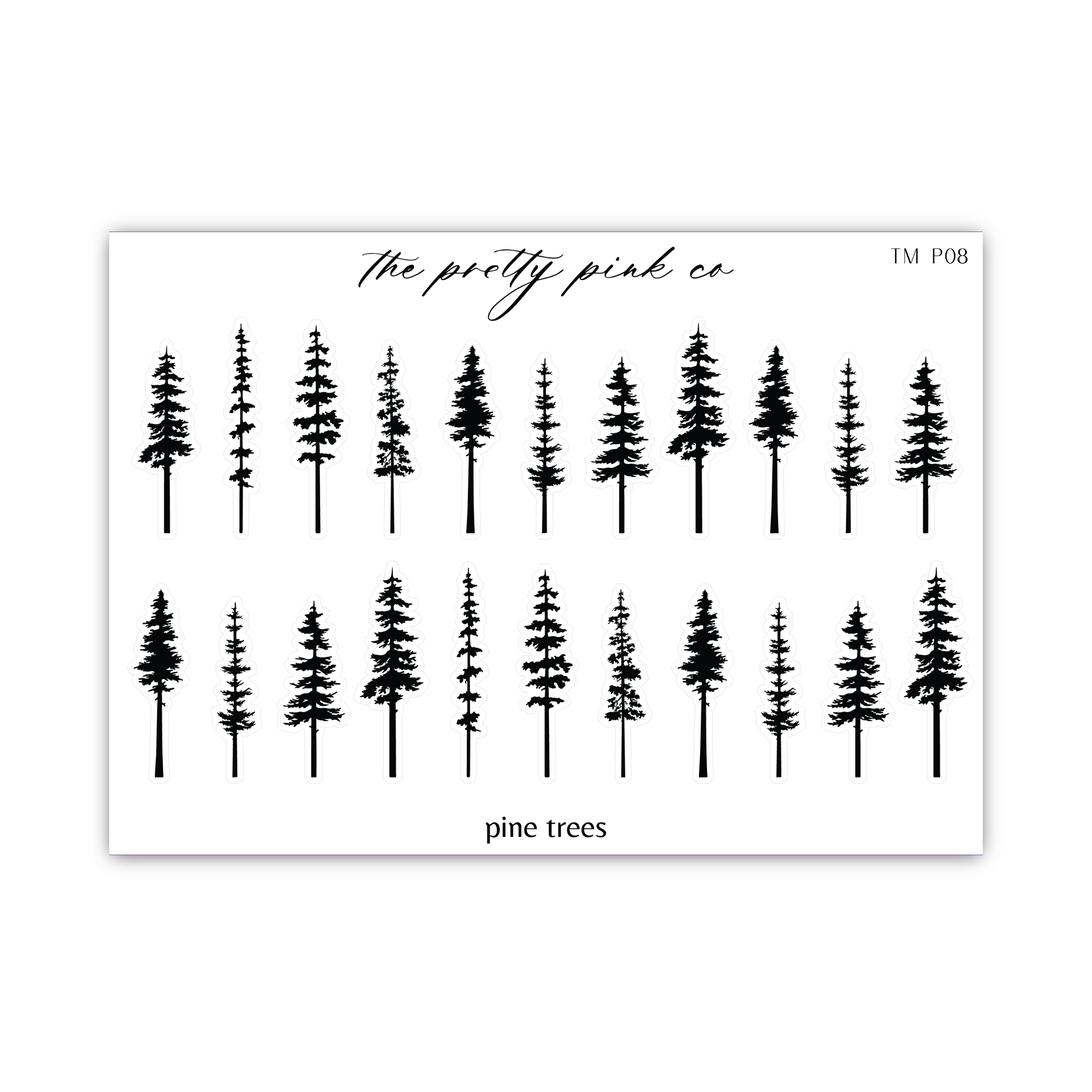 a sheet of pine trees on a white background