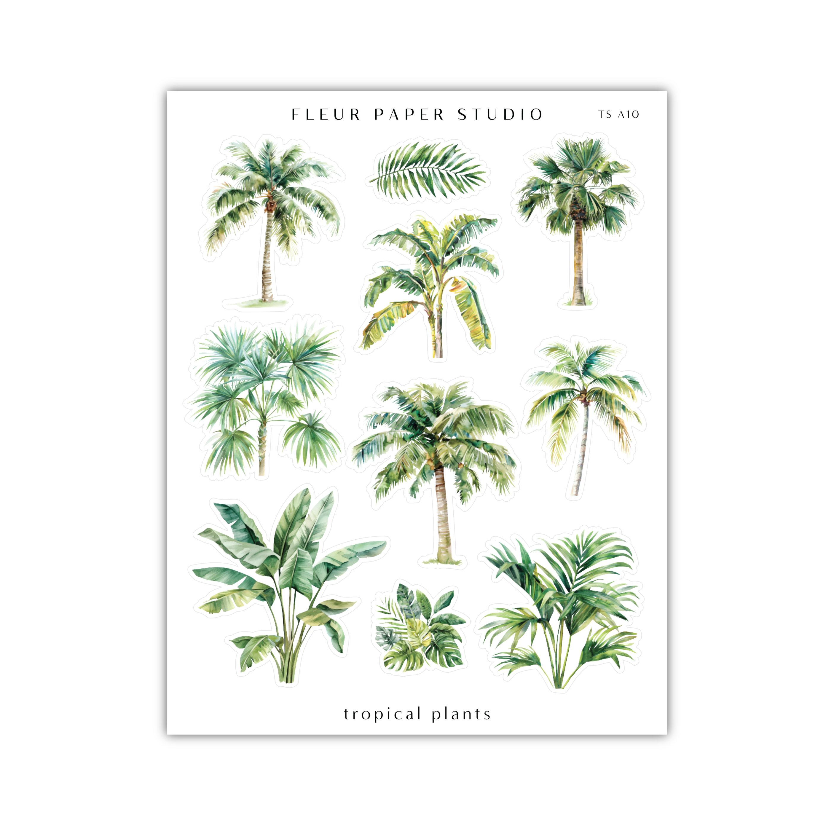 a poster with palm trees and other tropical plants