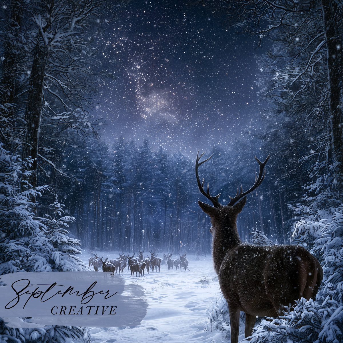 Creative Kit | Monthly Subscription