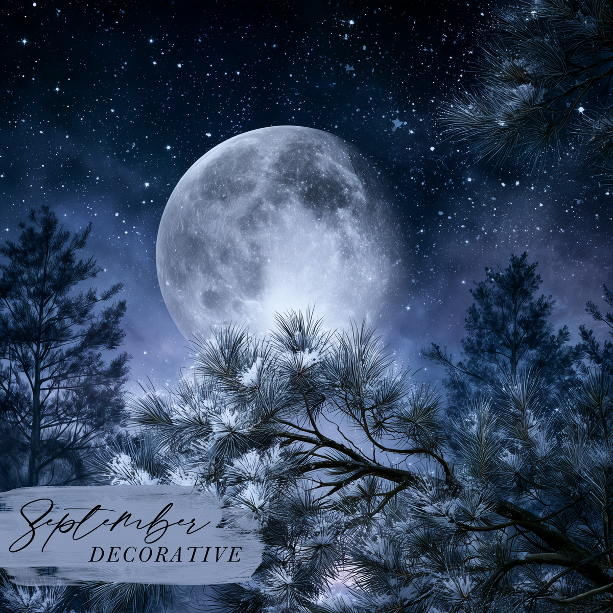 Decorative Kit | Monthly Subscription