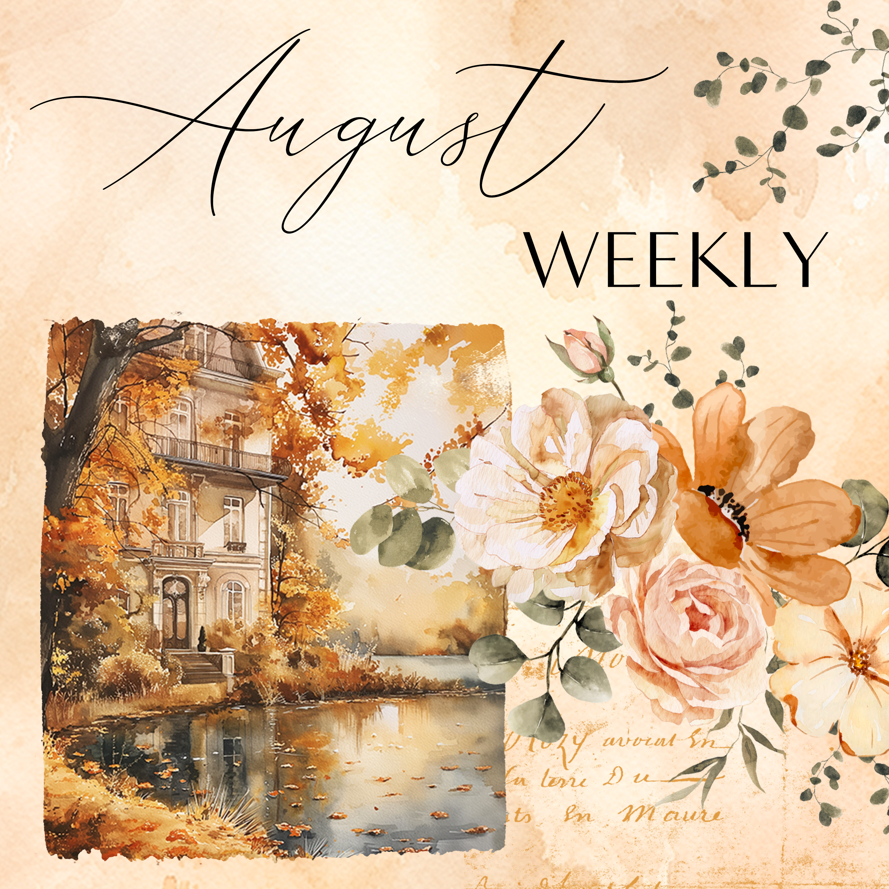 Weekly Kit | Monthly Subscription