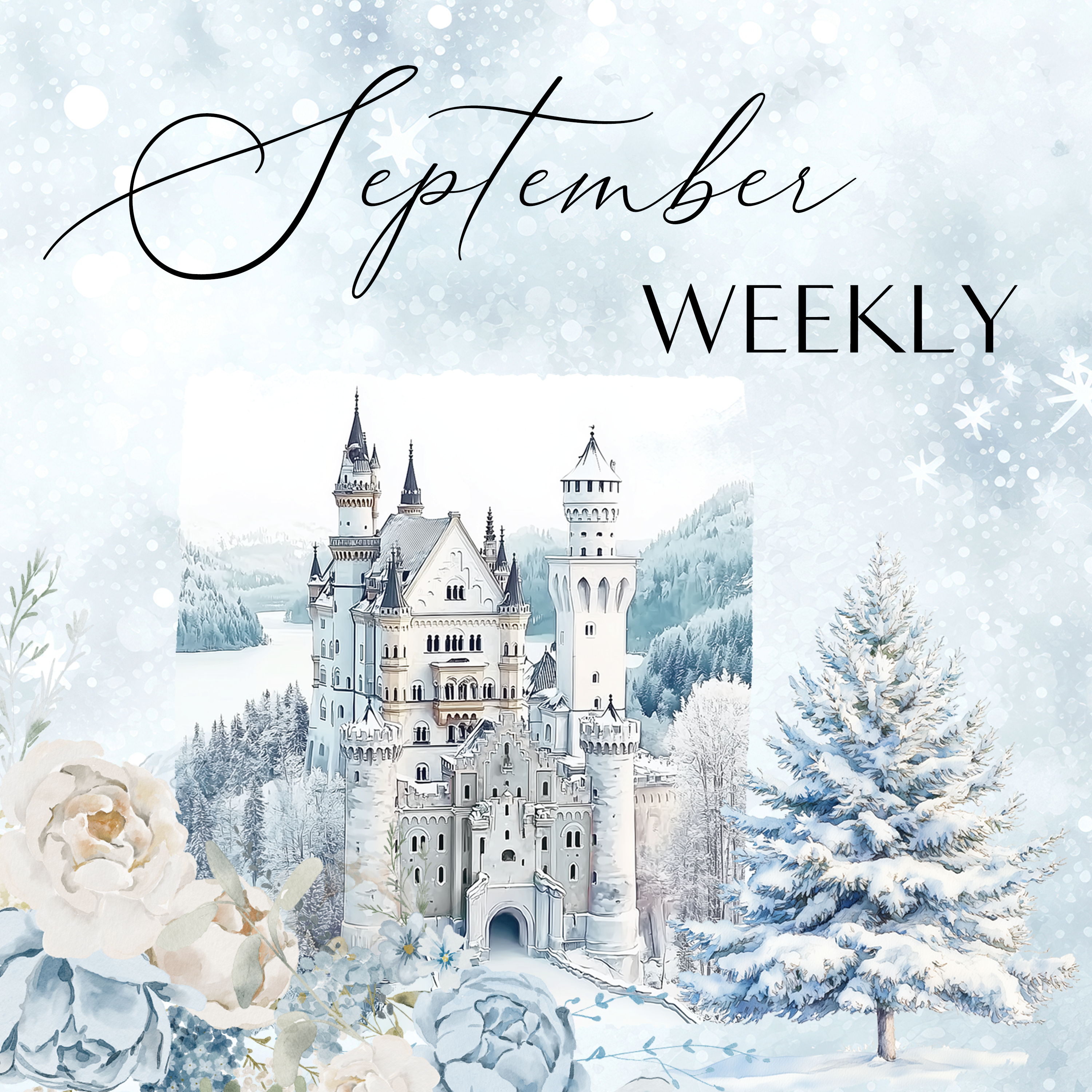 Weekly Kit | Monthly Subscription