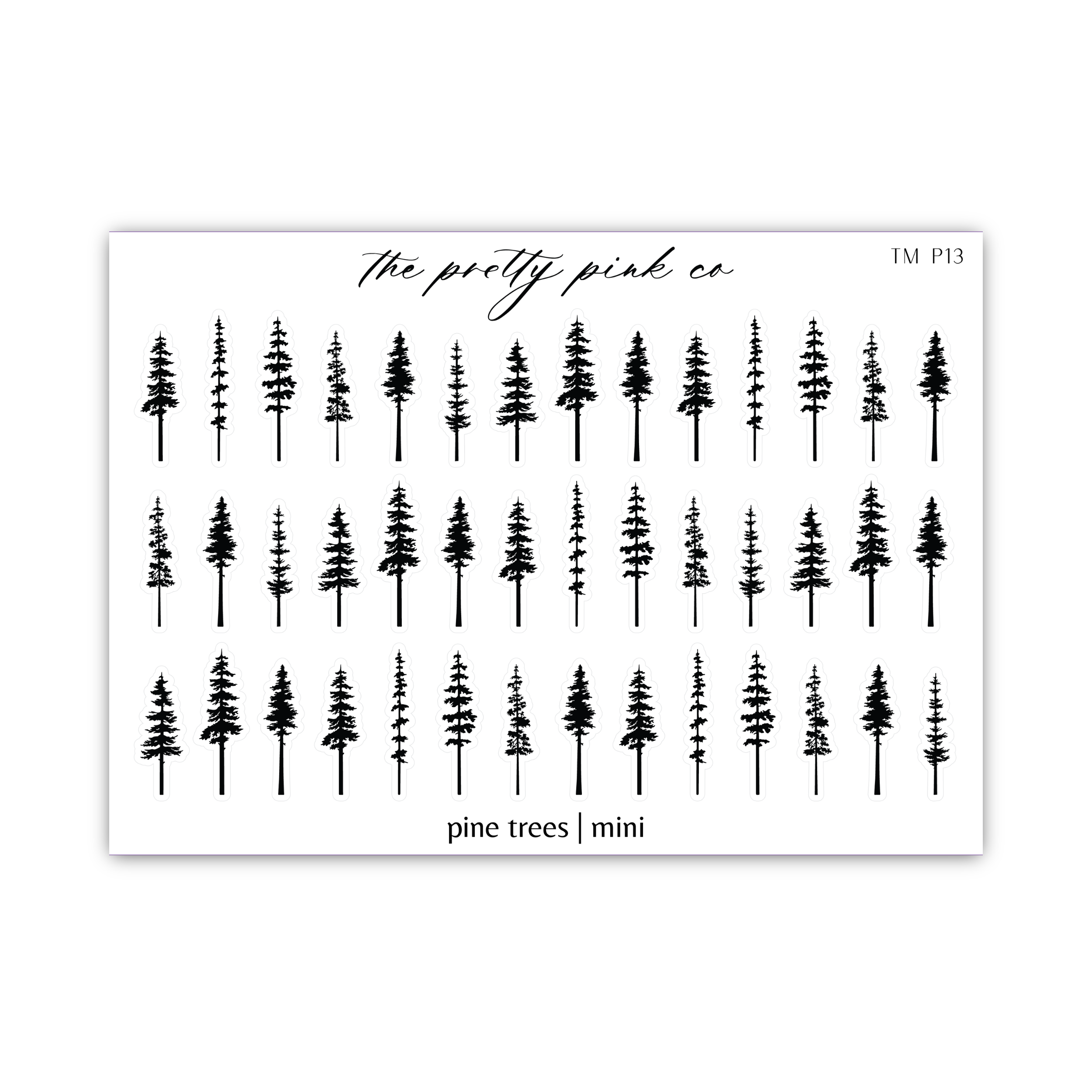 a sheet of pine trees on a white background