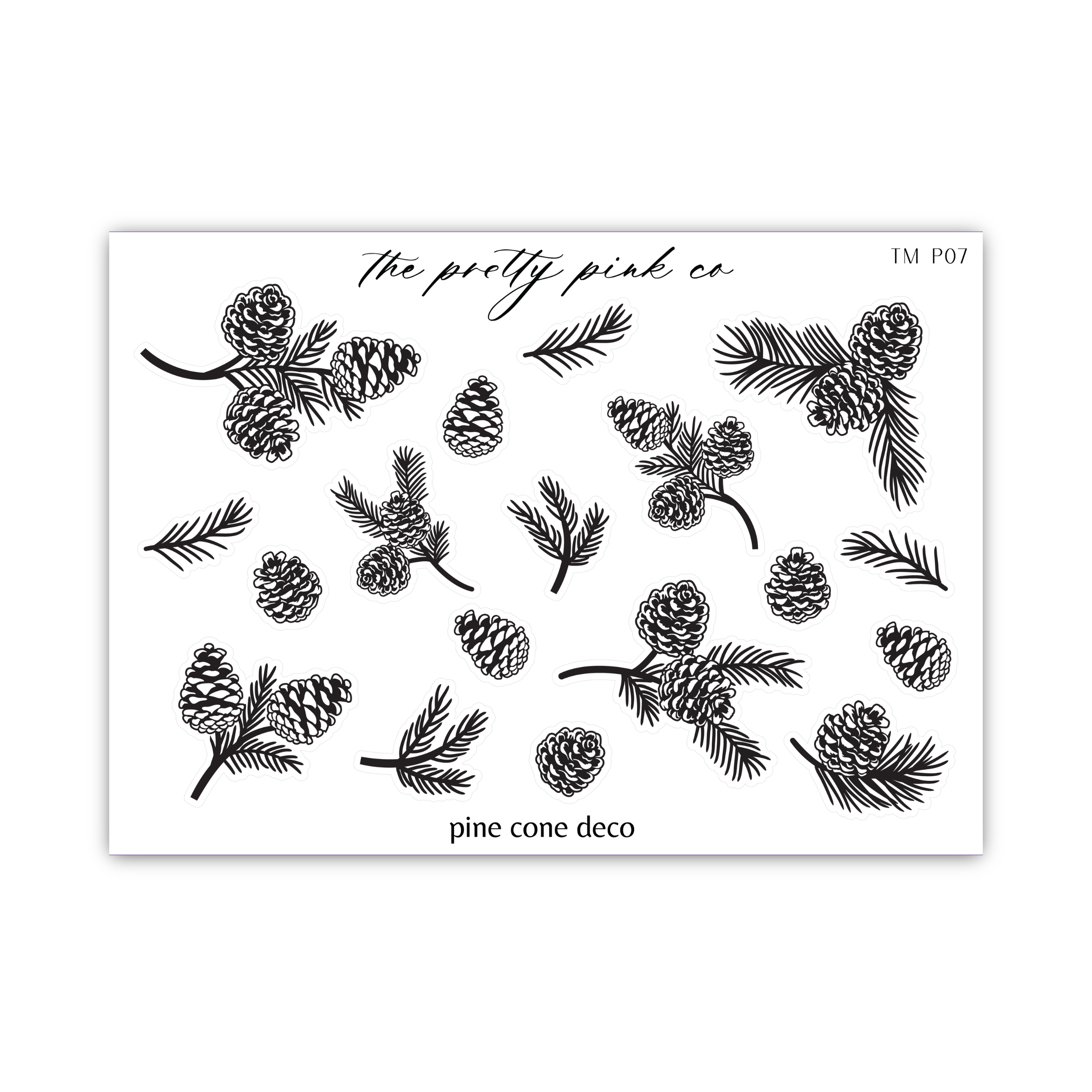 a sheet of pine cones and pine cones on a white background