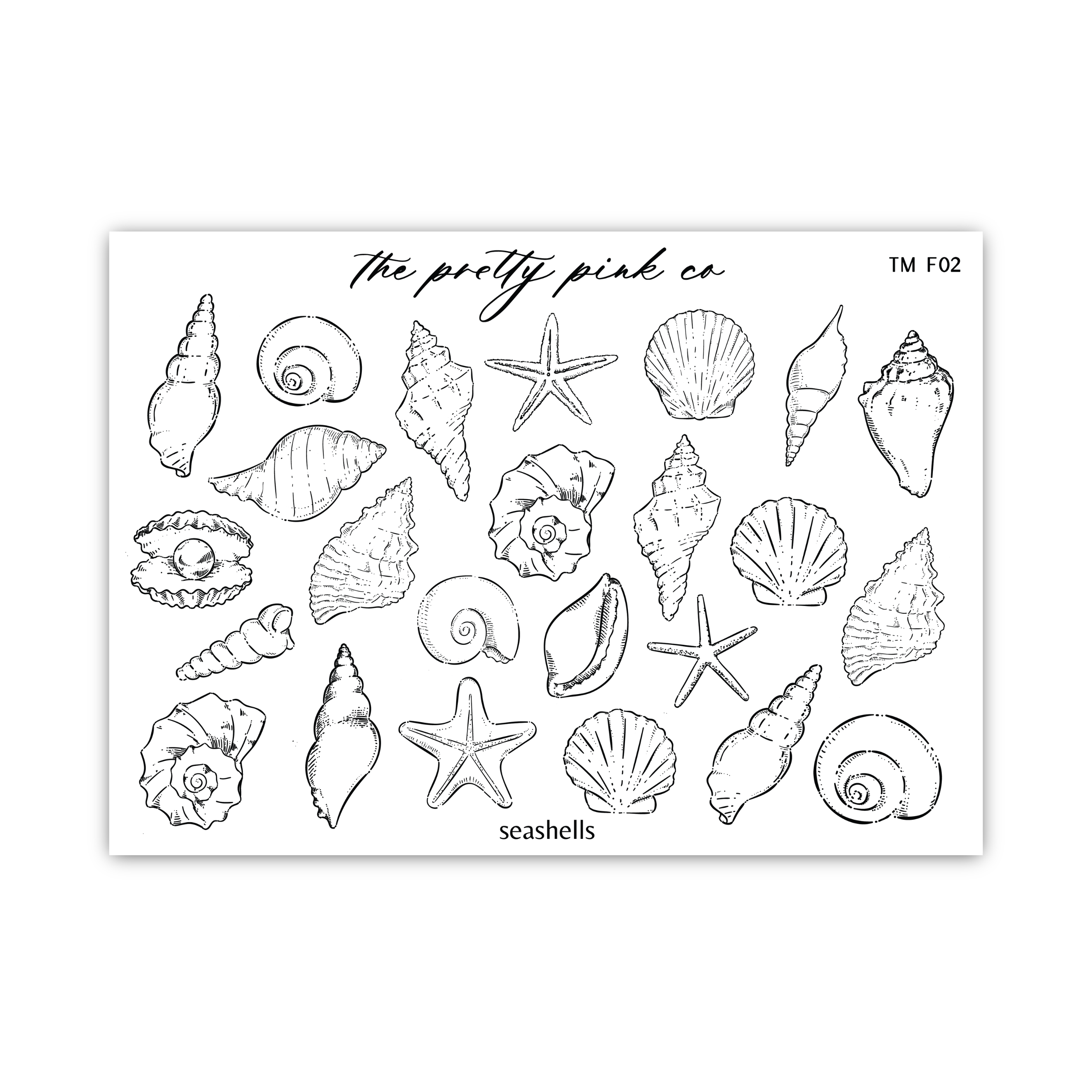 a black and white drawing of a variety of seashells
