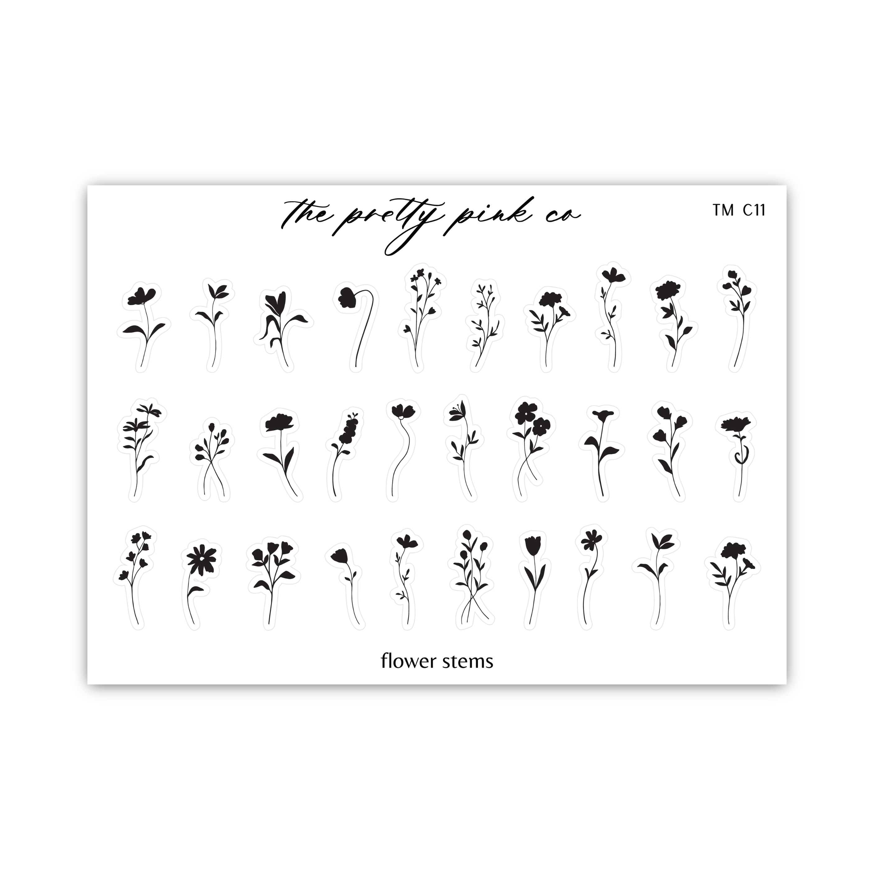 a sheet of flower stems on a white background